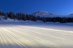 24_Donnerstagtraining-2