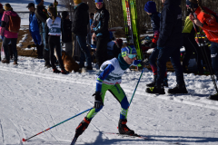 Fotos-Entlebucher-LL_26-3