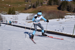 Fotos-Entlebucher-LL_26-6