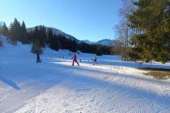 LL_Plausch_Header_35