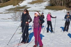 LL_Plausch_Header_50