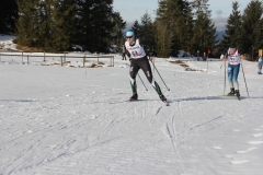 LUSV-MS-2023-56