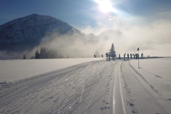 24_Mittwochtraining-5