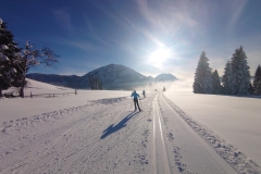 24_Mittwochtraining-6