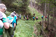 20190815_110838 20190815_110838