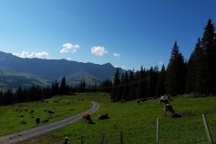 Wanderung_2021_04